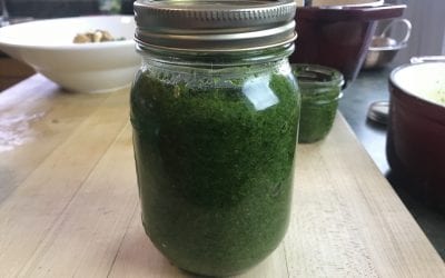 Kale Coriander Pesto